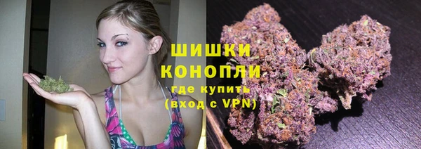 ешки Верхний Тагил