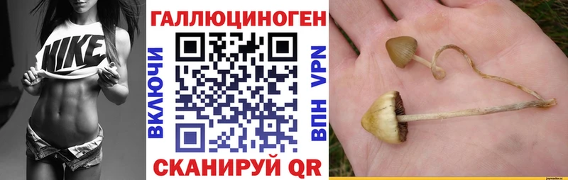 Галлюциногенные грибы мицелий  цены наркотик  Одинцово 